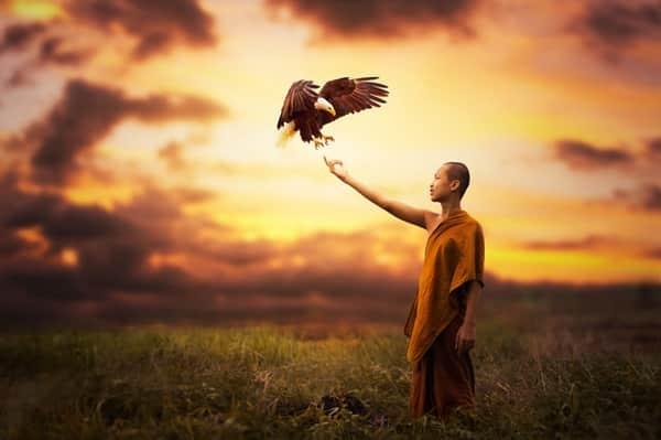 Tâm buông đời mới nở hoa, lòng không nặng thân ắt nhẹ-1