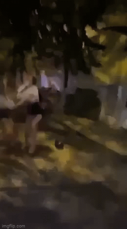 Hai thiếu nữ lao vào túm tóc đánh nhau khiến nhiều người kinh hãi-1