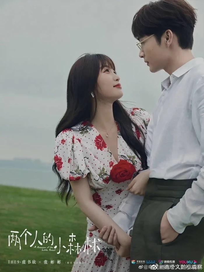 Loạt poster phim Hoa ngữ sao chép giống nhau gây tranh cãi-8