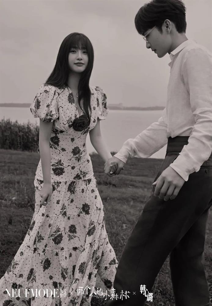 Loạt poster phim Hoa ngữ sao chép giống nhau gây tranh cãi-9