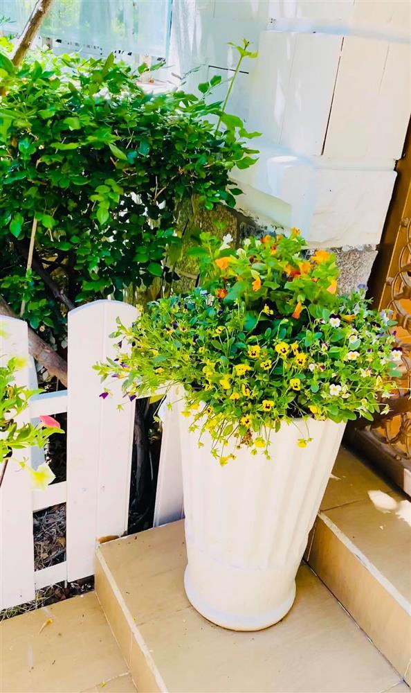 Vy Oanh khoe cận cảnh biệt thự ngập sắc hoa chồng tặng-8