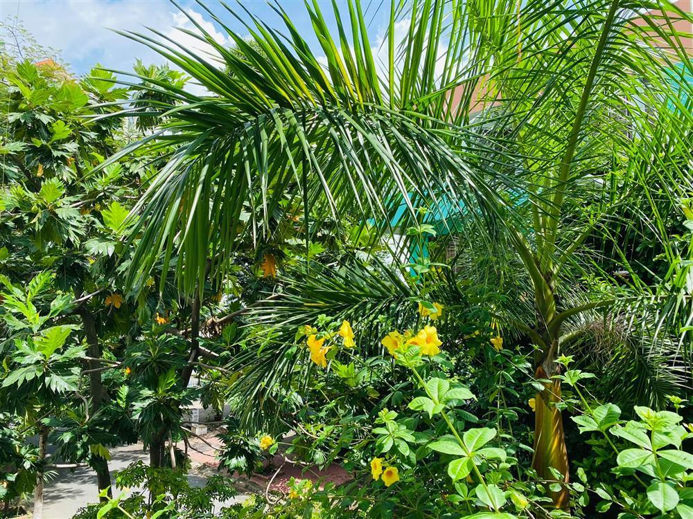 Vy Oanh khoe cận cảnh biệt thự ngập sắc hoa chồng tặng-19