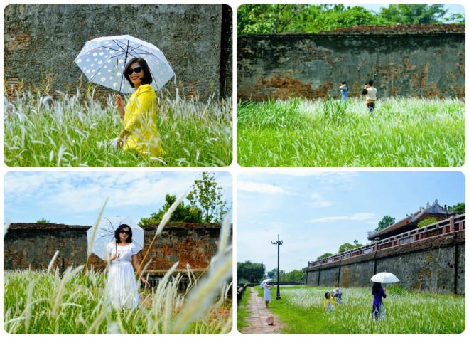 Thảm cỏ tranh đẹp ngẩn ngơ bên Hoàng thành Huế-5