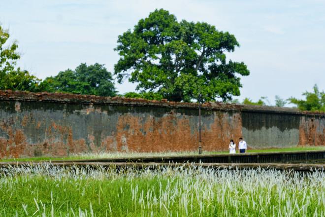 Thảm cỏ tranh đẹp ngẩn ngơ bên Hoàng thành Huế-9