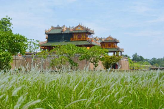 Thảm cỏ tranh đẹp ngẩn ngơ bên Hoàng thành Huế