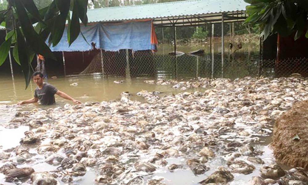 Huyện Thanh Chương báo tiền Thủy Tiên từ thiện ít hơn xác nhận 2020-3