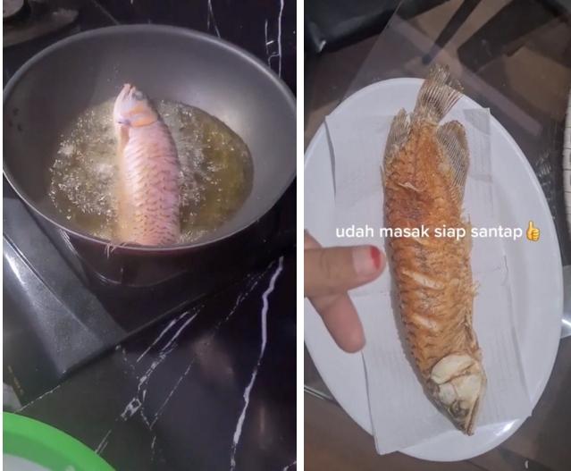 Con cá 7 tỷ bị vợ quăng vào chảo vì chồng lười biếng-2