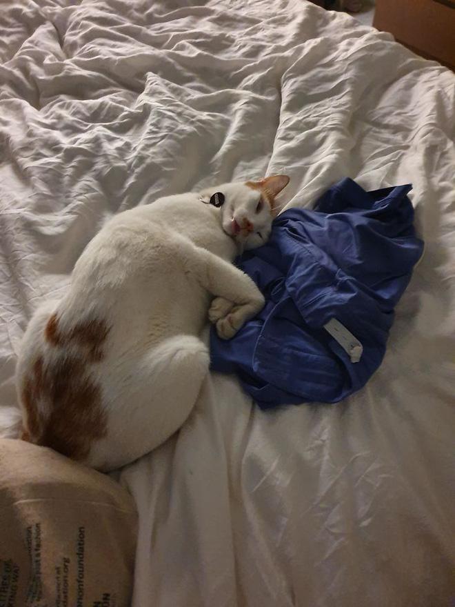 Các pha mắc dại của boss khiến con sen sợ rớt nguyên tim-10