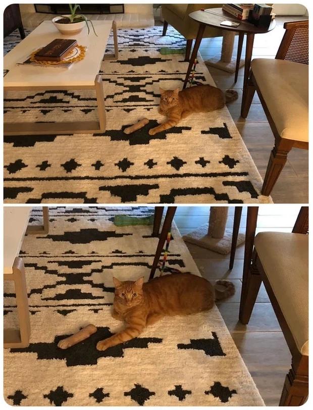 Các pha mắc dại của boss khiến con sen sợ rớt nguyên tim-8