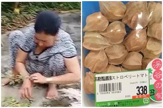 Quả dại miền Tây nhưng lại cực đắt đỏ bên Nhật