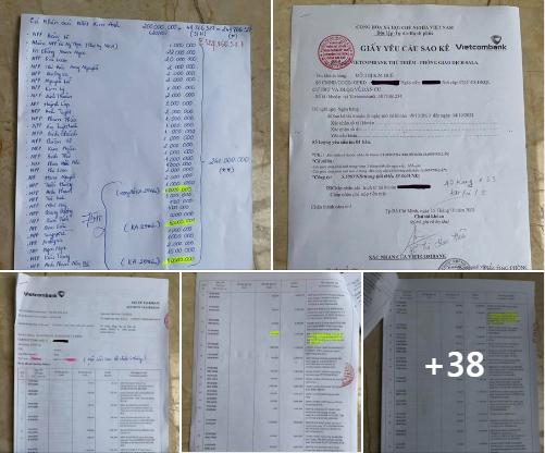 Bị CEO chất vấn, Nhật Kim Anh tung sao kê ngân hàng-6