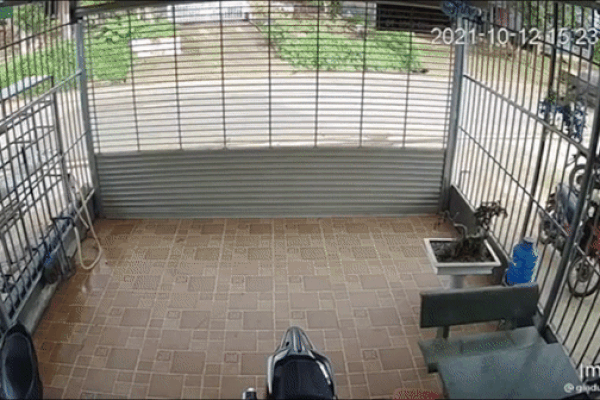 Kinh hoàng cảnh xe tải lao vào nhà dân, lật ngửa phơi bụng ở góc hiên-1