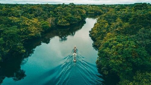 Vì sao sông dài nhất thế giới Amazon không có một cây cầu?-2