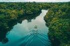 Vì sao sông dài nhất thế giới Amazon không có một cây cầu?