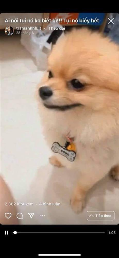 Giữa tin đồn yêu Trâm Anh, Trương Thế Vinh hẹn hò 1 mỹ nhân Vbiz-6