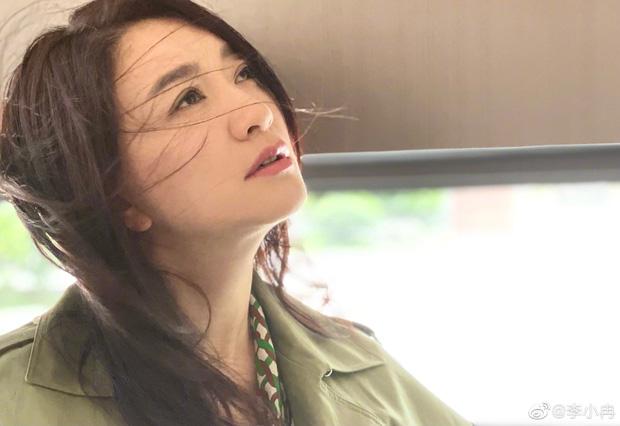 Lý Tiểu Nhiễm khổ vì yêu mafia, bị dọa tạt axit, tiêm máu HIV-10