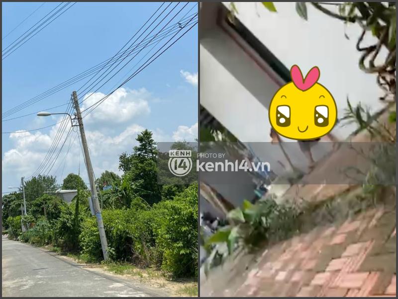 Chuyện chưa kể về người vợ cả kín tiếng của đại gia Dũng Lò Vôi-2