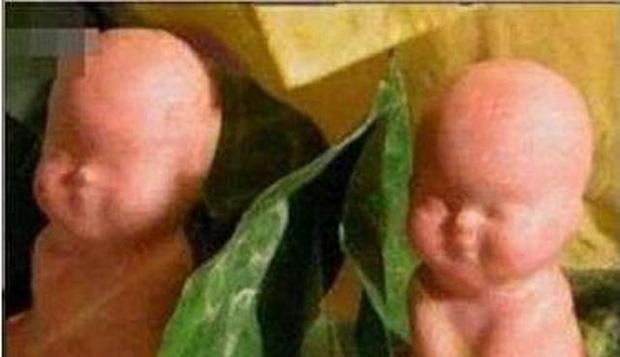 Thứ quả Tôn Ngộ Không liều mạng lấy trộm hóa ra rẻ hều, bán đầy!-3