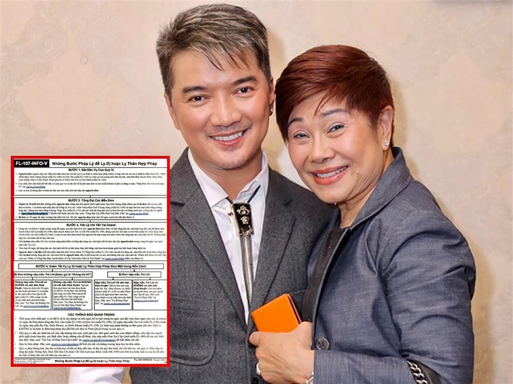 Đàm Vĩnh Hưng đạo Britney Spears ý tưởng đu ô trên sân khấu?-2