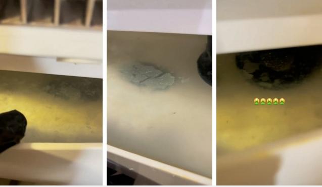 Rợn người bên trong máy làm đá lạnh, xem xong cạch luôn-2