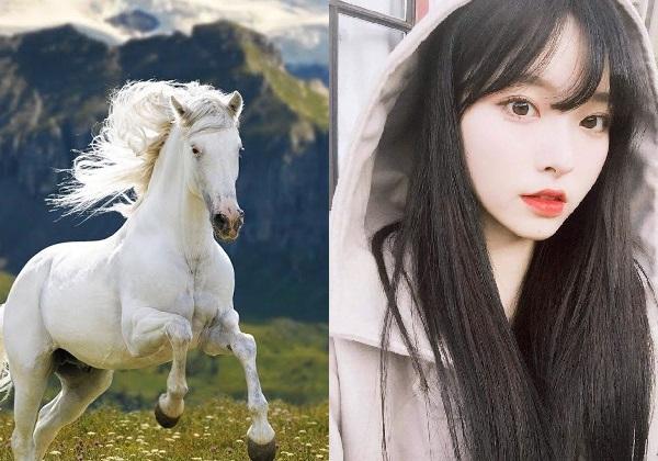 Top 3 con giáp nóng nảy nhưng là không thể thiếu trong gia đình-1