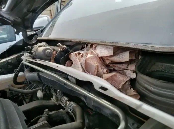 Giấu quỹ đen hơn 30 triệu đồng, chồng nhận cái kết sốc nặng-1