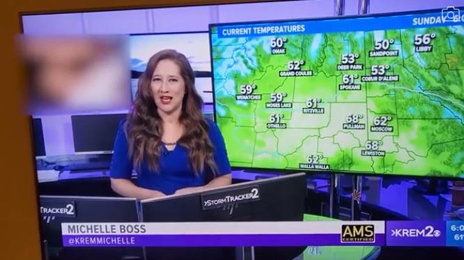 Bản tin thời tiết phát nhầm phim người lớn khiến khán giả tá hỏa-1