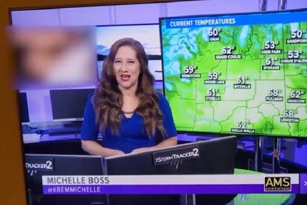 Dự báo thời tiết: Bắc Bộ rét đậm dịp Tết, Nam Bộ ngày nắng đêm lạnh-1