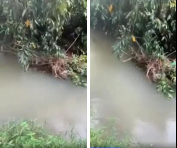 150 người từng 20 lần rà soát đoạn suối nơi phát hiện bé 2 tuổi mất tích-2