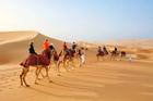 Tại sao Ả Rập có vô số sa mạc nhưng vẫn nhập khẩu cát?