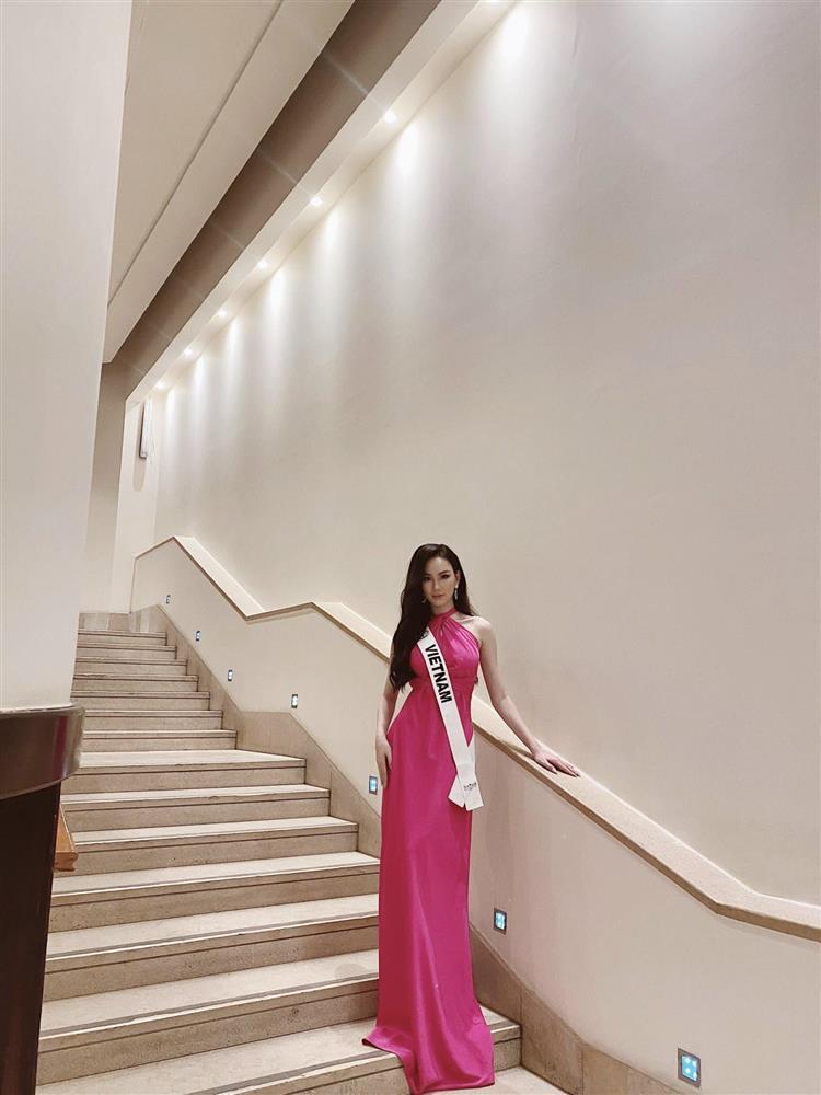 Hải quan Ai Cập quyết không trả váy cho Trần Hoàng Ái Nhi-5