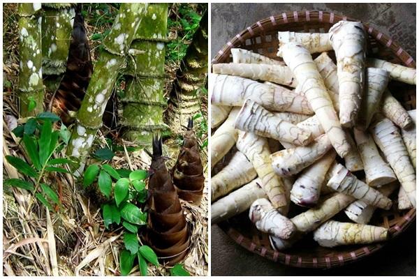 Thứ rau người Nhật coi như của báu, chợ Việt bán vài nghìn/lạng-6