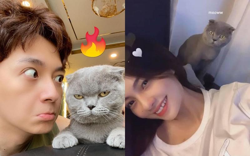 7749 bằng chứng nét căng Ngô Kiến Huy hẹn hò mỹ nhân gợi cảm-3