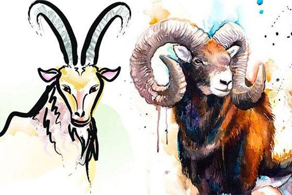 5 con giáp sau tuổi trung niên cuộc sống an nhàn, tài lộc dồi dào-1