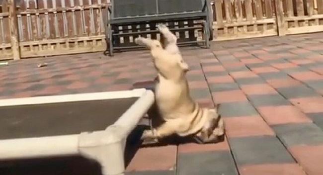 Con sen phát mệt vì boss vụng về mà vẫn cố gắng tỏ ra ngầu đét-5