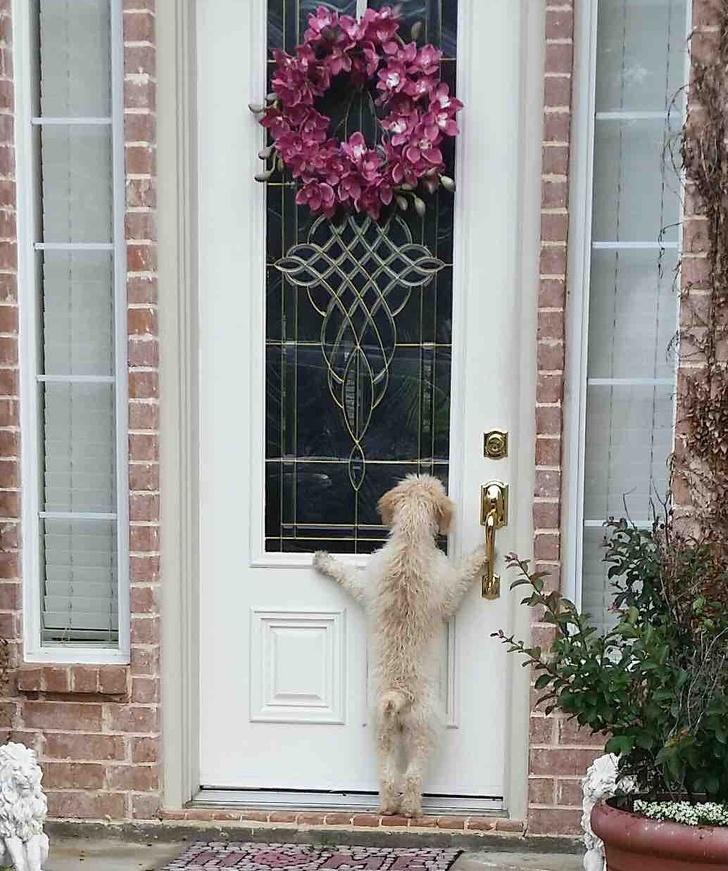 Con sen phát mệt vì boss vụng về mà vẫn cố gắng tỏ ra ngầu đét-8