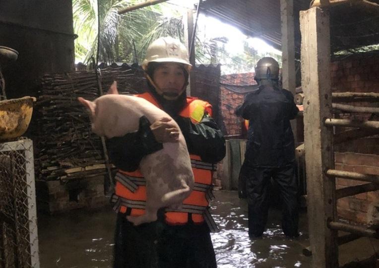 Quảng Ngãi: Sơ tán hàng ngàn hộ dân tránh lũ-2