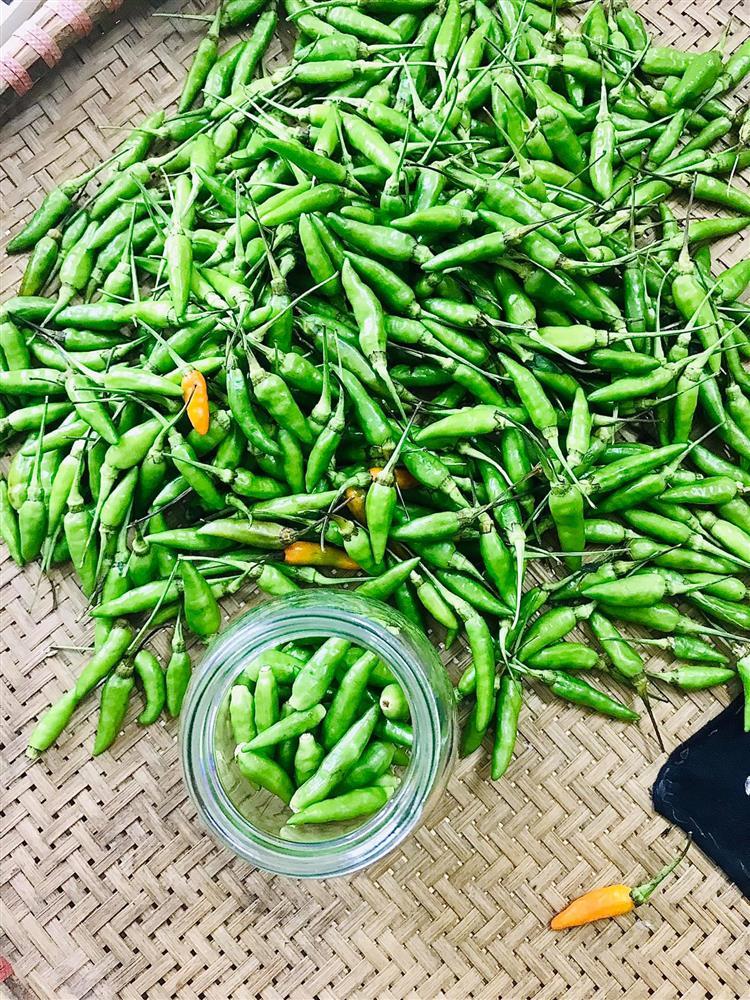 4 kiểu chế biến ớt xiêm rừng, nấu món gì - ăn cái gì cũng ngon-2