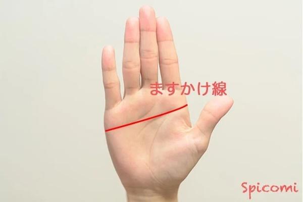Đoán tính cách, vận mệnh của người có đường chỉ tay chữ M đặc biệt-2