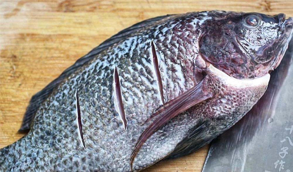 Đừng dại chọn 4 loại cá vừa không ngon lại tiêm độc vào người-2
