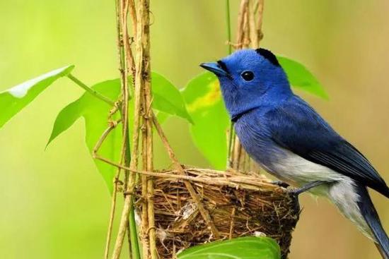 Từ cuối tháng 10, có 4 con giáp tài khoản liên tục nhảy số