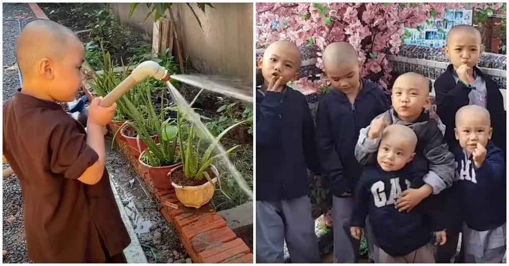 Cuộc sống loạt hiện tượng đình đám khi rời Thách Thức Danh Hài-2