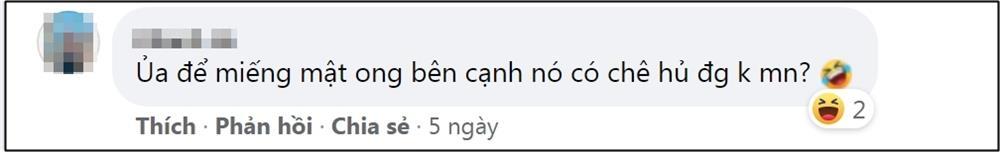 Lên mạng xin cách đuổi kiến vào hộp đường, càng đọc càng rối não-6