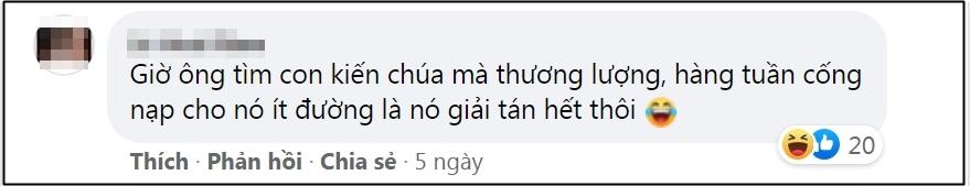 Lên mạng xin cách đuổi kiến vào hộp đường, càng đọc càng rối não-7