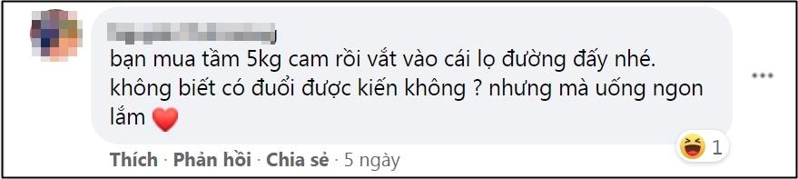 Lên mạng xin cách đuổi kiến vào hộp đường, càng đọc càng rối não-8