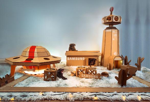 Nhà thú cưng độc đáo làm từ thùng TV tái chế-2