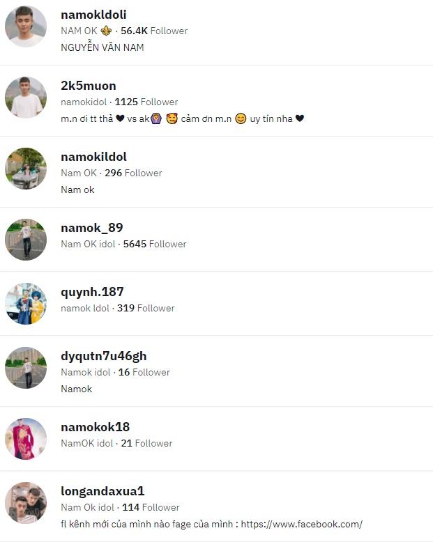 Sau 21 ngày qua đời, kênh TikTok Nam OK bay màu-6