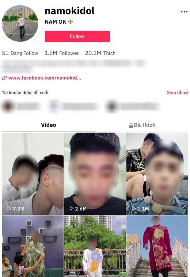 Sau 21 ngày qua đời, kênh TikTok Nam OK bay màu-3