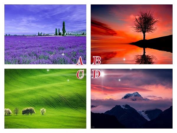 Trắc nghiệm: Bạn là người như thế nào trong mắt người khác?-1