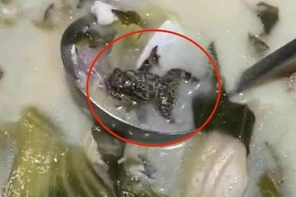 Những đại kỵ khi ăn lẩu nhiều người vẫn vô tư chiến ngày lạnh-5